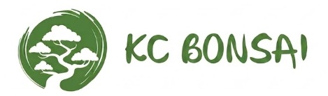 KC Bonsai